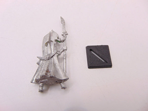 Battle Chariot Charioteer