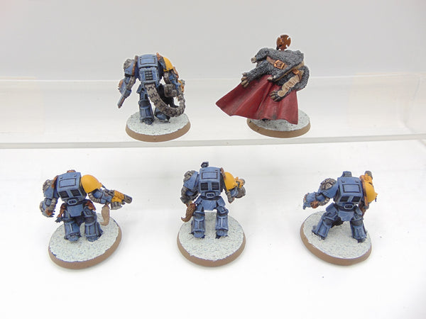 Wolf Guard Terminators