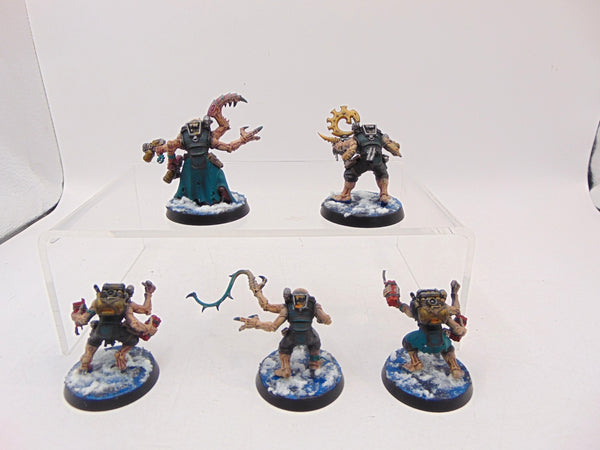 Acolyte Hybrids