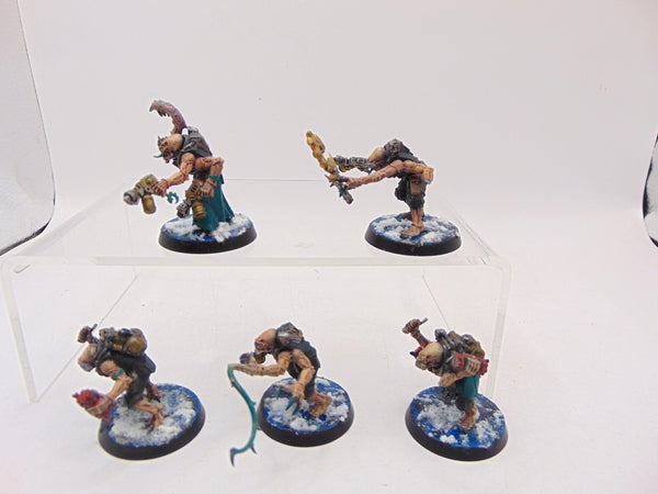 Acolyte Hybrids