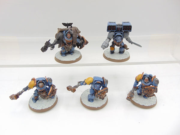 Wolf Guard Terminators