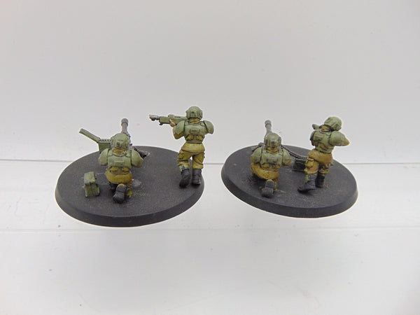 Cadian Heavy Weapon Squad