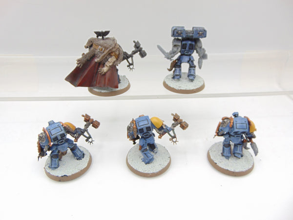 Wolf Guard Terminators