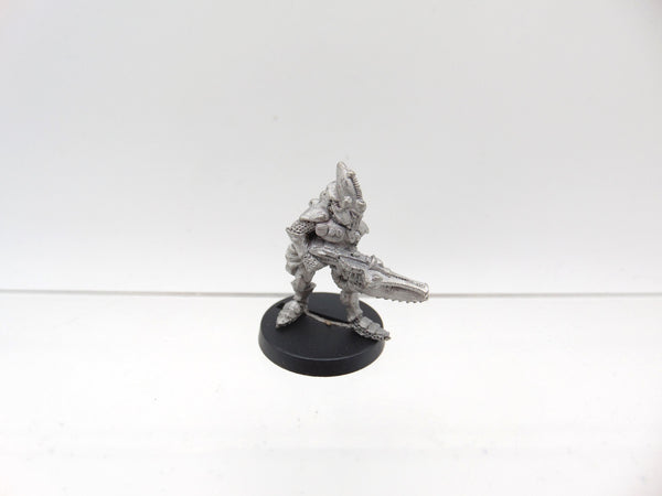 Space Elf Standard Bearer Menhe Worldsong