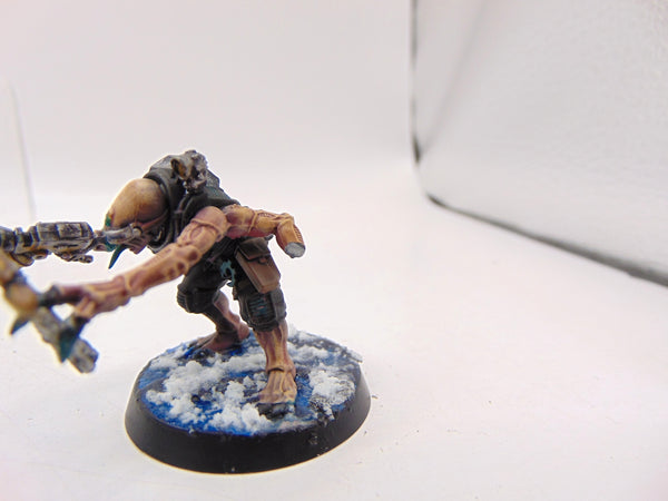 Acolyte Hybrids