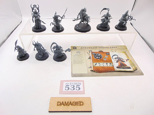 Warcry: Askurgan Trueblades