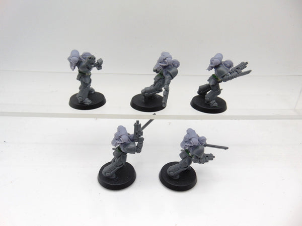 Assault Intercessors