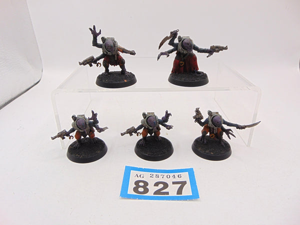 Acolyte Hybrids