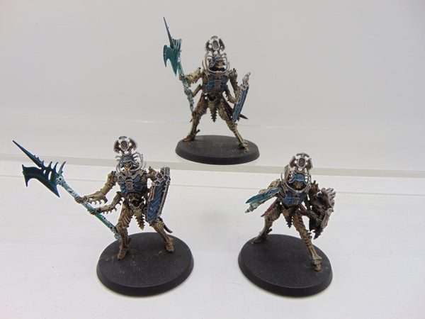 Immortis Guard