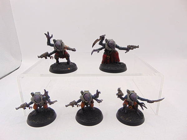 Acolyte Hybrids
