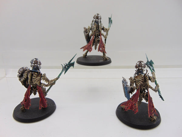 Immortis Guard