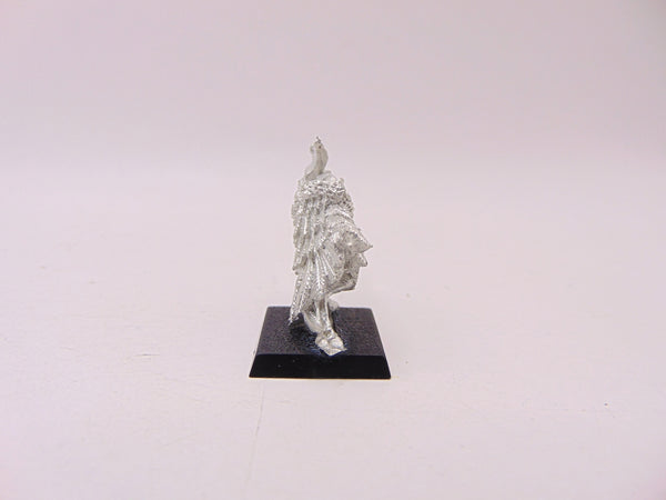 Skink Priest with Feathered Cloak