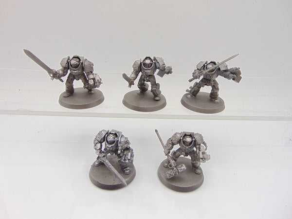 Brotherhood Terminator Squad