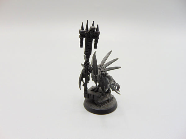 Skink Starpriest