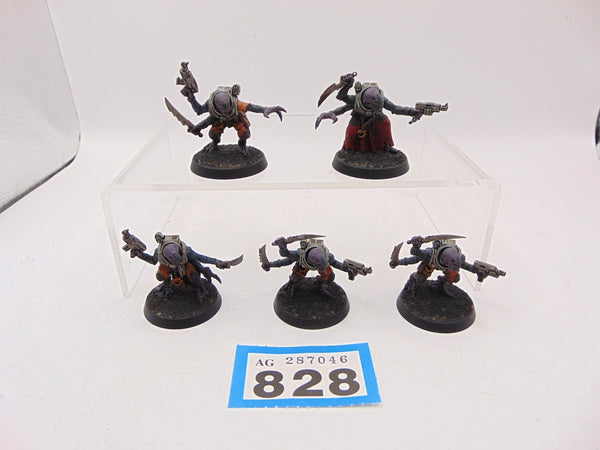 Acolyte Hybrids