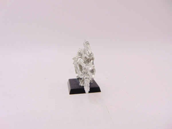 Skink Priest with Feathered Cloak