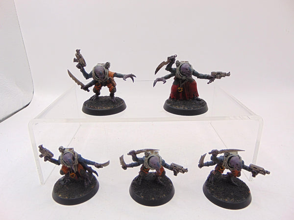 Acolyte Hybrids