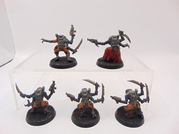 Acolyte Hybrids