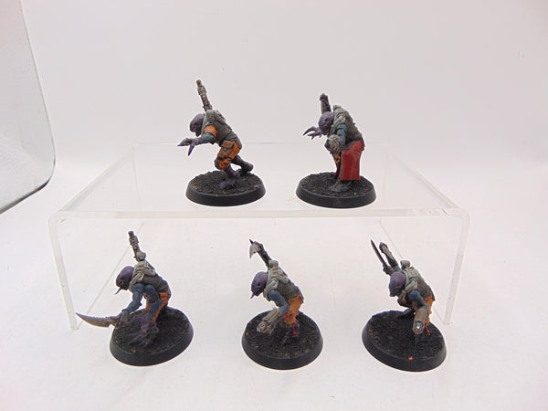 Acolyte Hybrids