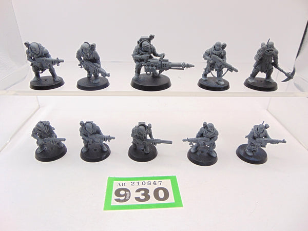 Neophyte Hybrids