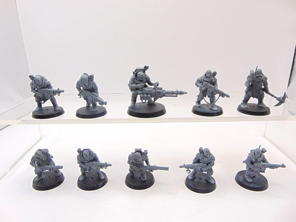 Neophyte Hybrids