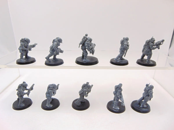 Neophyte Hybrids