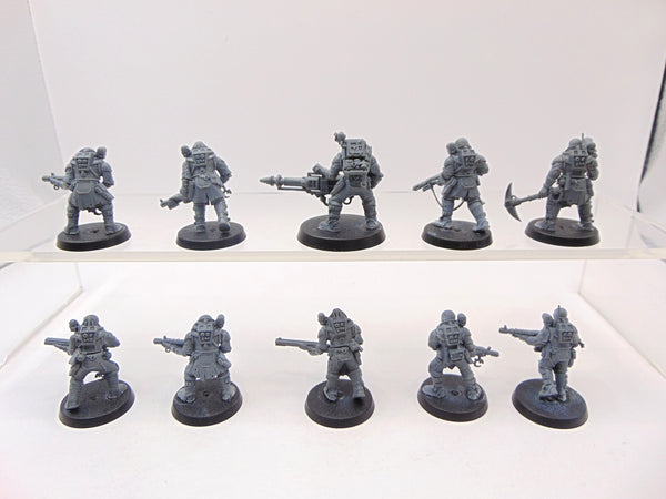 Neophyte Hybrids