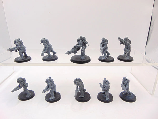 Neophyte Hybrids