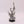 Farseer