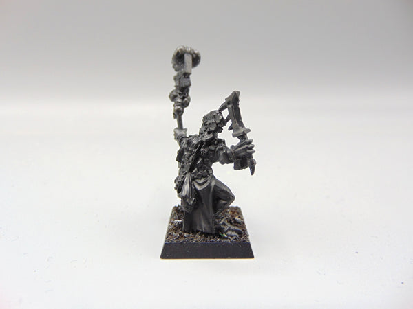 Skink Priest