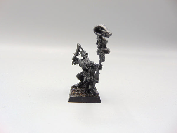 Skink Priest