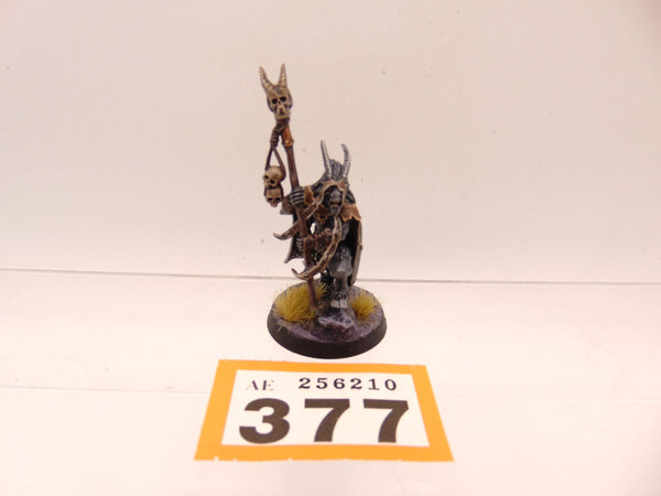 Beastmen Shaman