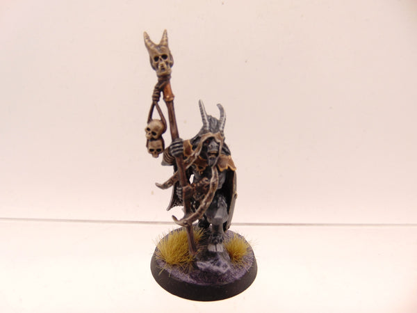 Beastmen Shaman