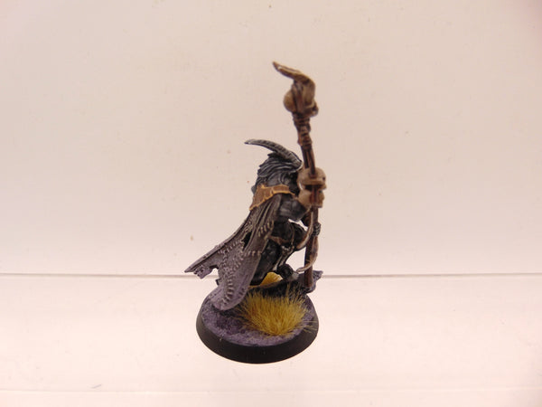 Beastmen Shaman
