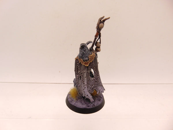 Beastmen Shaman
