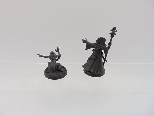 Magus & Genestealer Cult Familiar