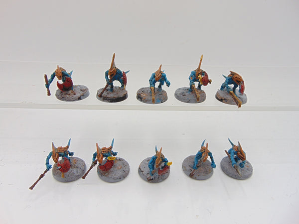 Skinks