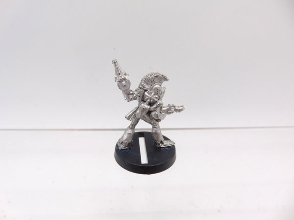 Harlequin Trouper