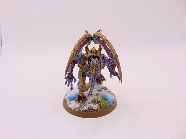 Lictor