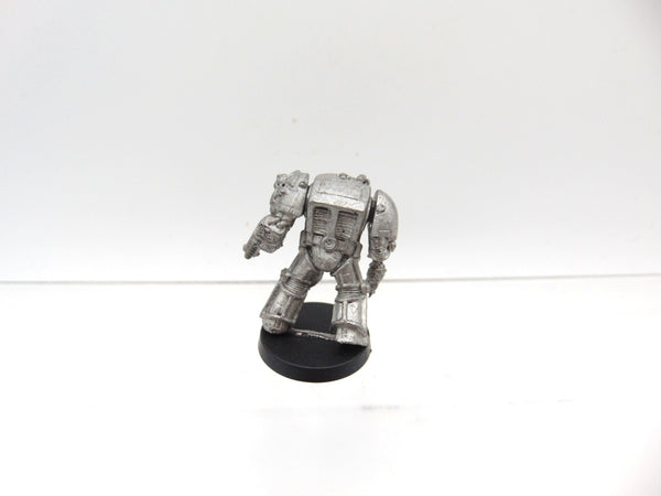 Wolf Guard Terminator