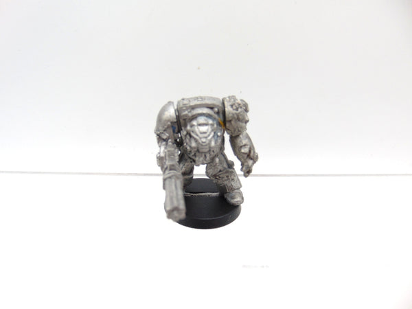 Wolf Guard Terminator