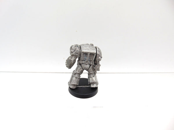 Wolf Guard Terminator
