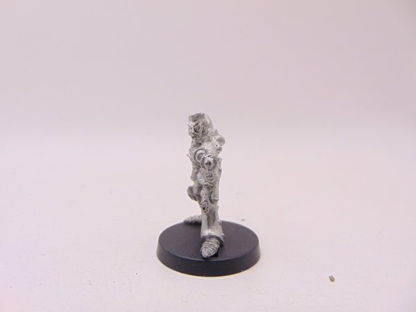 Space Elf Champion Lassitae Starflare