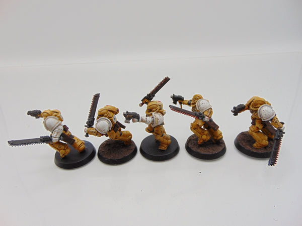 Assault Intercessors