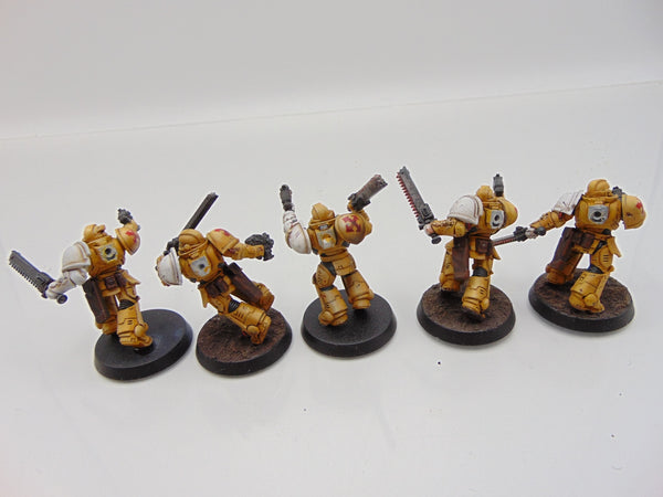 Assault Intercessors