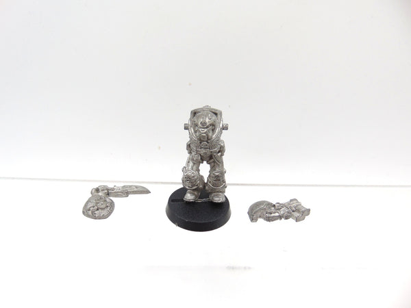 Terminator Librarian