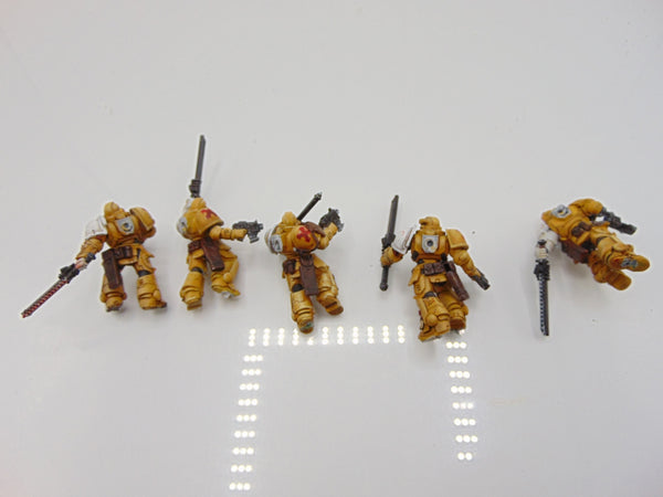 Assault Intercessors