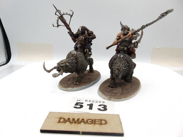 Mournfang Cavalry Pack