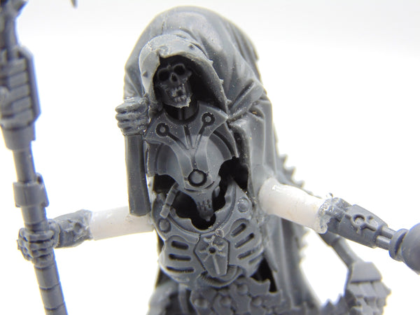 Overlord with Voidscythe Conversion