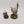 Swampcalla Shaman & Pot Grot